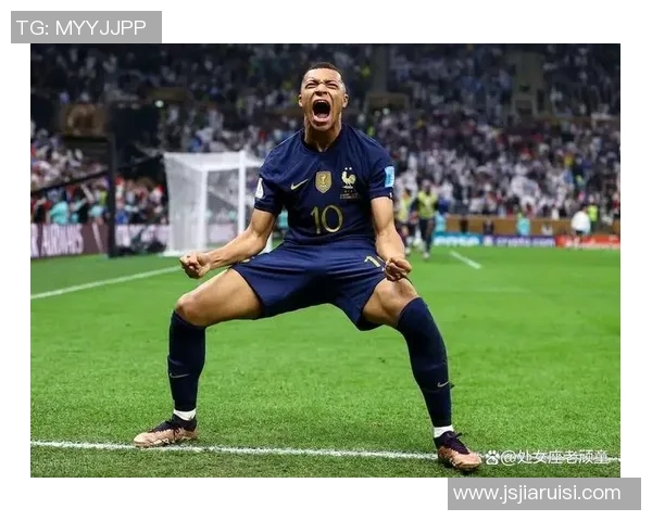 法国足球球星历史地位探讨与传奇人物成就的深度分析