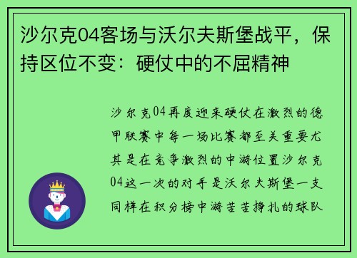 沙尔克04客场与沃尔夫斯堡战平，保持区位不变：硬仗中的不屈精神